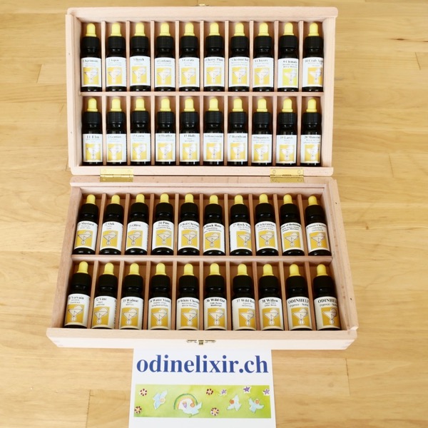 Set ODIN Bachblüten