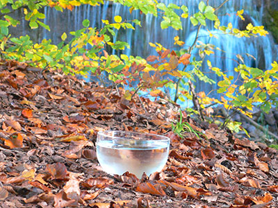 bol eau de source en automne